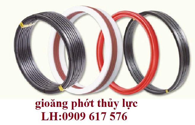 gioăng phớt thủy lực