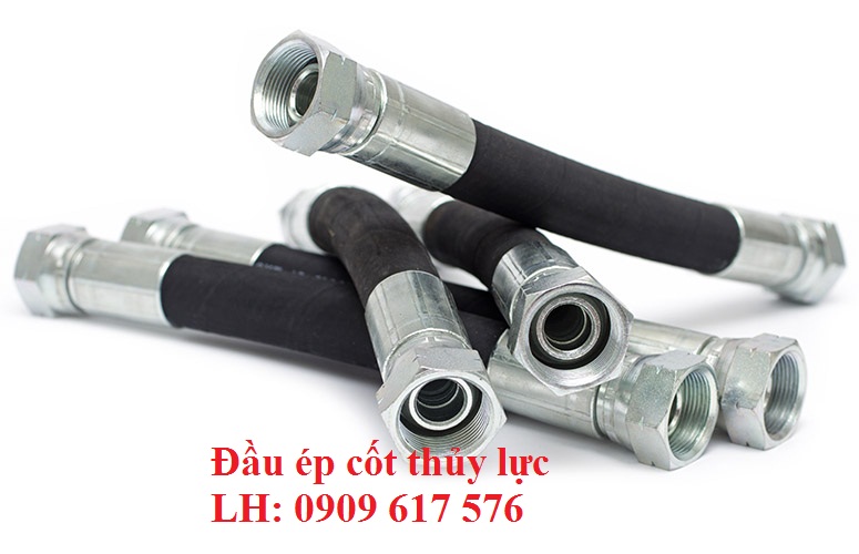 Đầu bấm ống thủy lực, cút thủy lực 