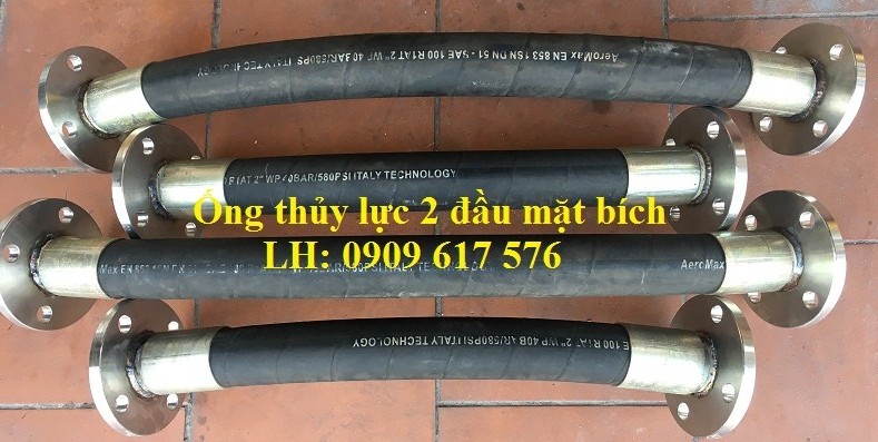 Ống thủy lực 2 đầu mặt bích 