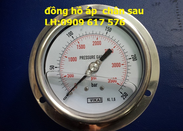 Đồng hồ đo áp suất chân sau