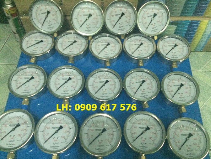 Đồng hồ đo áp suất Badotherm Holland